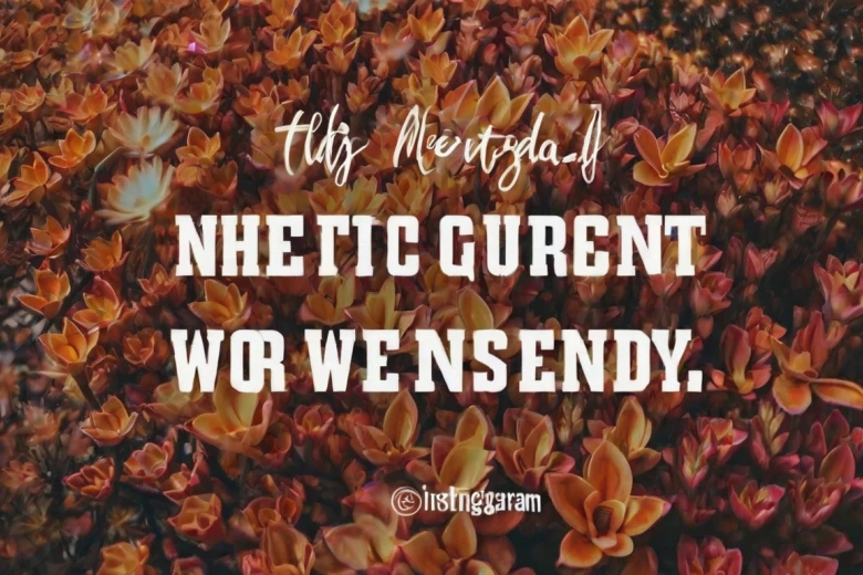 Wise Quotes for Wednesday Instagram 280+ Hot Instagram Caption for Wednesday to Ignite Your Feed