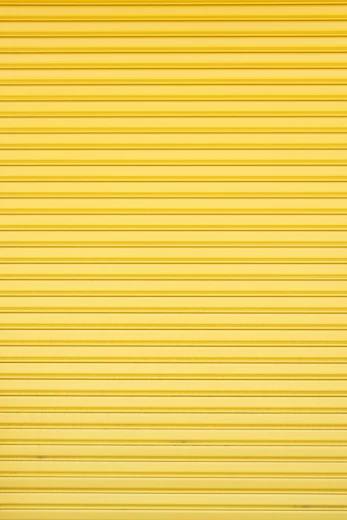 Yellow-Crowned Night Heron 10 Egrets and Herons Found in North America: Discover Majestic Birdlife