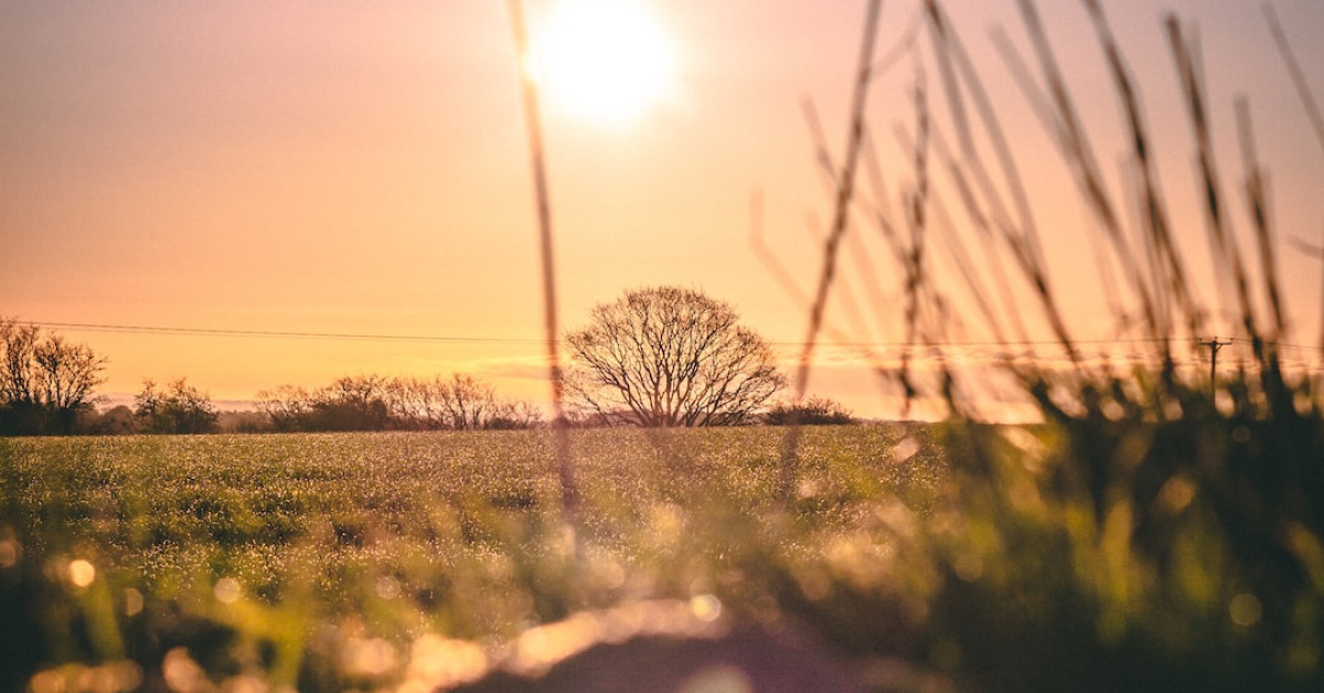 Yorkshire Pudding versus Popover comparison plate