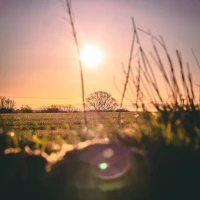 Yorkshire Pudding versus Popover comparison plate Yorkshire Pudding versus Popover comparison plate