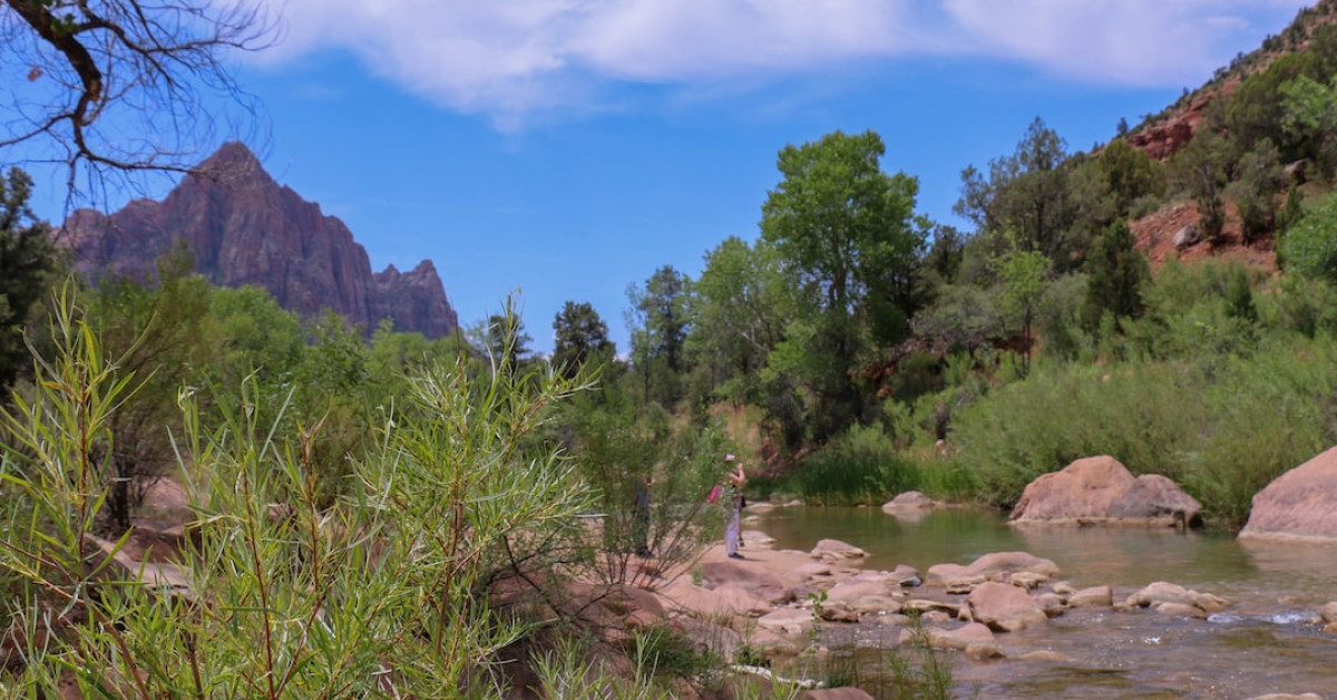 Zion Williamson's wedding: Tying the knot with his longtime love