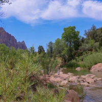 Zion Williamson's wedding: Tying the knot with his longtime love Zion Williamson's wedding: Tying the knot with his longtime love